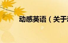 动感英语（关于动感英语的介绍）