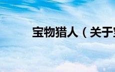 宝物猎人（关于宝物猎人的介绍）