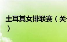 土耳其女排联赛（关于土耳其女排联赛的介绍）
