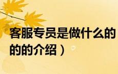 客服专员是做什么的（关于客服专员是做什么的的介绍）