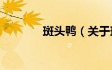 斑头鸭（关于斑头鸭的介绍）