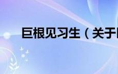 巨根见习生（关于巨根见习生的介绍）