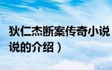 狄仁杰断案传奇小说（关于狄仁杰断案传奇小说的介绍）
