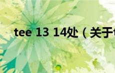 tee 13 14处（关于tee 13 14处的介绍）