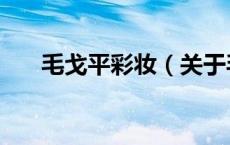 毛戈平彩妆（关于毛戈平彩妆的介绍）
