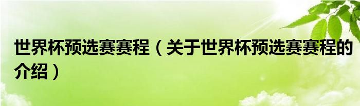 中国男足世界杯预选赛赛程 世界杯预选赛赛程（关于世界杯预选赛赛程的介绍）