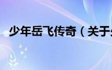 少年岳飞传奇（关于少年岳飞传奇的介绍）