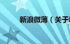 新浪微薄（关于新浪微薄的介绍）