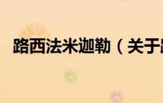 路西法米迦勒（关于路西法米迦勒的介绍）