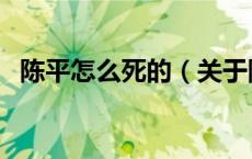陈平怎么死的（关于陈平怎么死的的介绍）