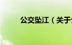公交坠江（关于公交坠江的介绍）