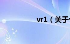vr1（关于vr1的介绍）