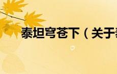 泰坦穹苍下（关于泰坦穹苍下的介绍）