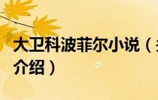 大卫科波菲尔小说（关于大卫科波菲尔小说的介绍）