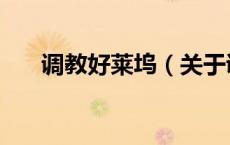 调教好莱坞（关于调教好莱坞的介绍）