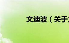 文迪波（关于文迪波的介绍）