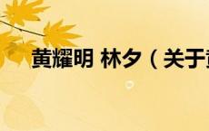 黄耀明 林夕（关于黄耀明 林夕的介绍）