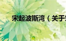 宋起波斯湾（关于宋起波斯湾的介绍）