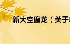 新大空魔龙（关于新大空魔龙的介绍）