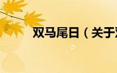 双马尾日（关于双马尾日的介绍）