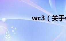 wc3（关于wc3的介绍）