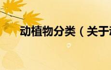 动植物分类（关于动植物分类的介绍）