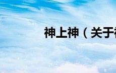 神上神（关于神上神的介绍）