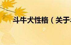 斗牛犬性格（关于斗牛犬性格的介绍）