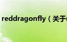 reddragonfly（关于reddragonfly的介绍）