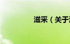 滋采（关于滋采的介绍）
