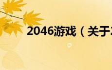 2046游戏（关于2046游戏的介绍）