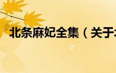北条麻妃全集（关于北条麻妃全集的介绍）