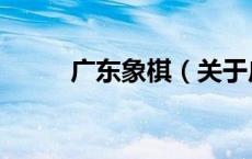 广东象棋（关于广东象棋的介绍）