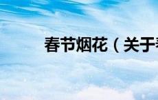 春节烟花（关于春节烟花的介绍）