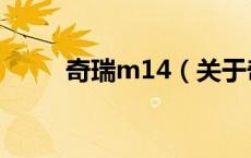奇瑞m14（关于奇瑞m14的介绍）