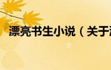 漂亮书生小说（关于漂亮书生小说的介绍）
