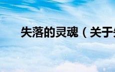 失落的灵魂（关于失落的灵魂的介绍）