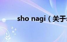 sho nagi（关于sho nagi的介绍）