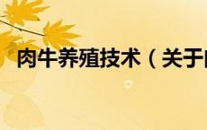 肉牛养殖技术（关于肉牛养殖技术的介绍）