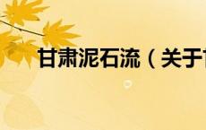 甘肃泥石流（关于甘肃泥石流的介绍）