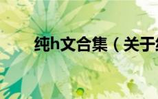 纯h文合集（关于纯h文合集的介绍）