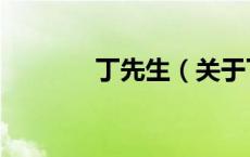 丁先生（关于丁先生的介绍）