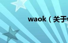 waok（关于waok的介绍）
