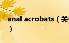 anal acrobats（关于anal acrobats的介绍）