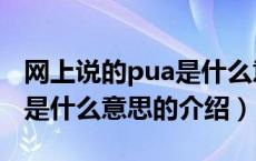 网上说的pua是什么意思（关于网上说的pua是什么意思的介绍）