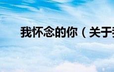 我怀念的你（关于我怀念的你的介绍）