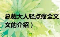 总裁大人轻点疼全文（关于总裁大人轻点疼全文的介绍）