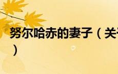 努尔哈赤的妻子（关于努尔哈赤的妻子的介绍）