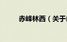 赤峰林西（关于赤峰林西的介绍）