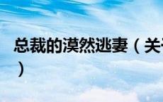 总裁的漠然逃妻（关于总裁的漠然逃妻的介绍）
